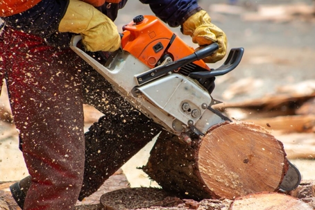 Man cutting log with chainsaw